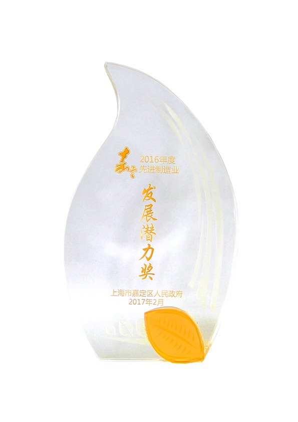 2016年度嘉定區(qū)發(fā)展?jié)摿Κ?jiǎng)